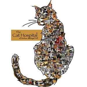 The Cat Hospital of Durham and Chapel Hill